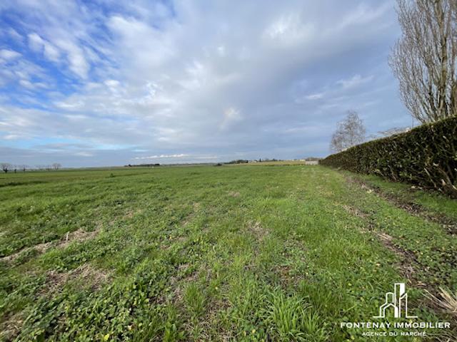 Vente Terrain 1919 m2 Longeves