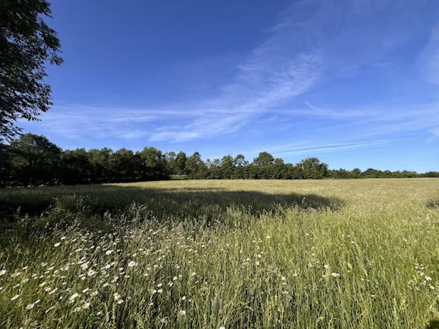 Vente Terrain 19237 m2 Mauriac