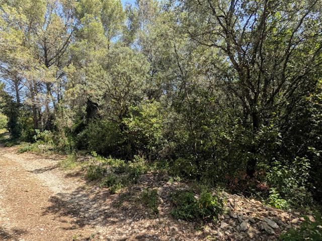 Vente Terrain 1933 m2 Milhaud