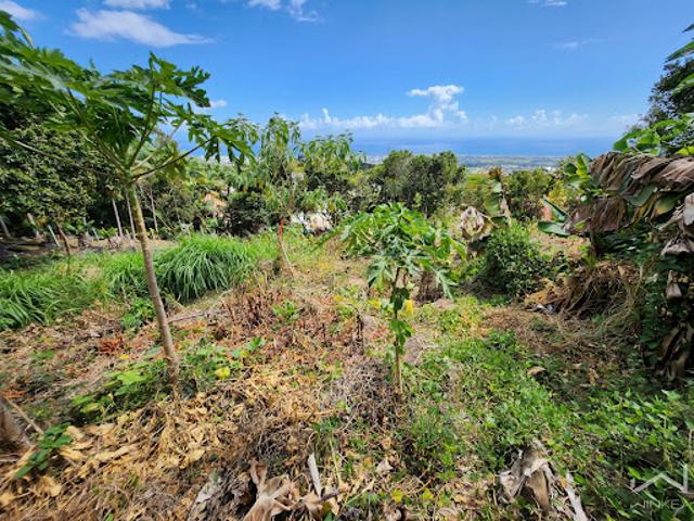 Vente Terrain 1940 m2 Saint Denis
