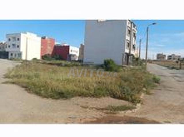Vente terrain