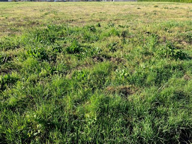 Vente Terrain 1960 m2 Chérac
