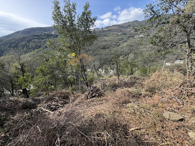 Vente Terrain 1960 m2 Santa Maria di Lota