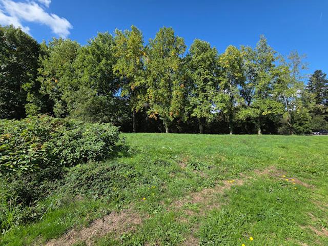 Vente Terrain 1960 m2 Panazol