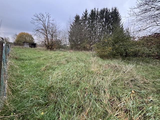 Vente Terrain 1977 m2 Bouzonville