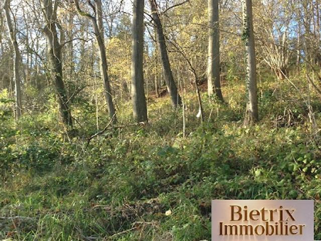 Vente Terrain 1979 m2 Champagne sur Oise
