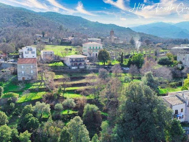 Vente Terrain 1984 m2 Rapale