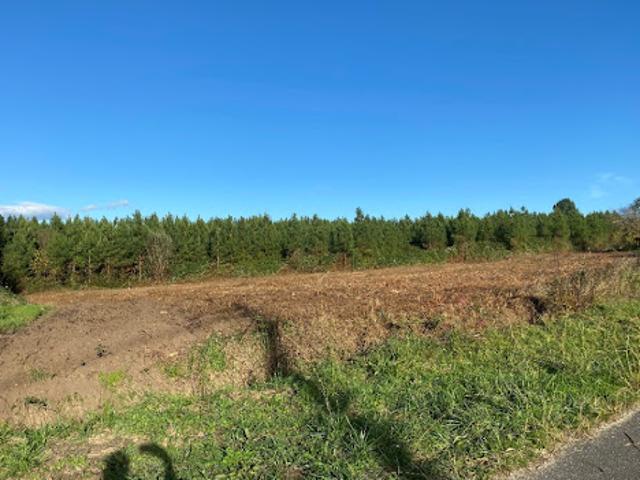Vente Terrain 1990 m2 Auros