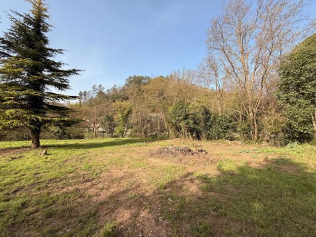 Vente Terrain 1990 m2 Belgentier