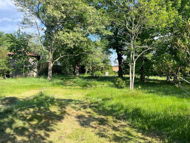 Vente Terrain 1990 m2 Biscarrosse