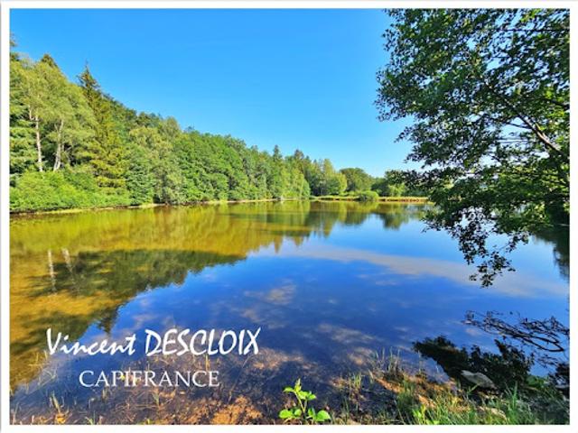 Vente Terrain 19965 m2 Gien sur Cure
