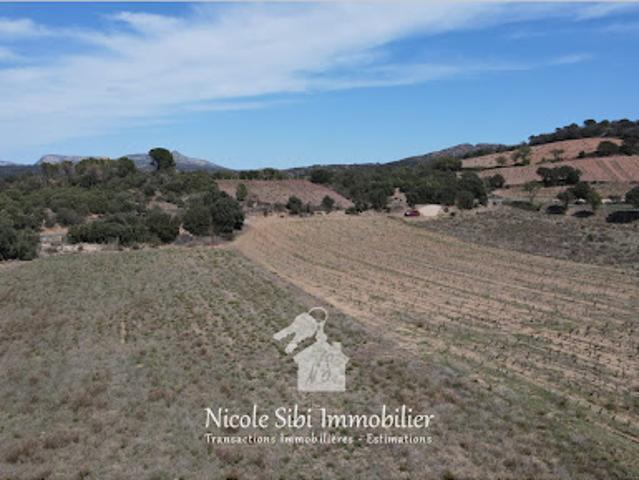 Vente Terrain 19998 m2 Estagel