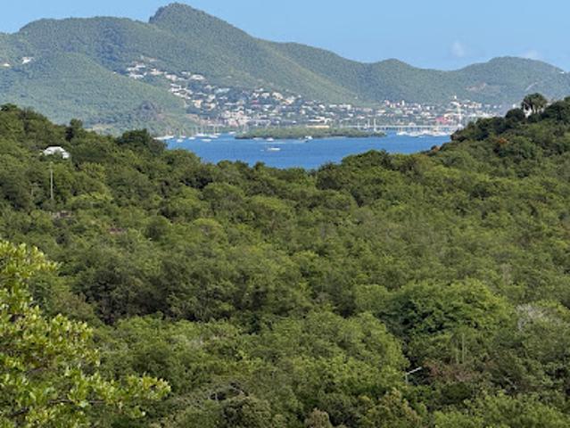 Vente Terrain 10000 m2 Marigot