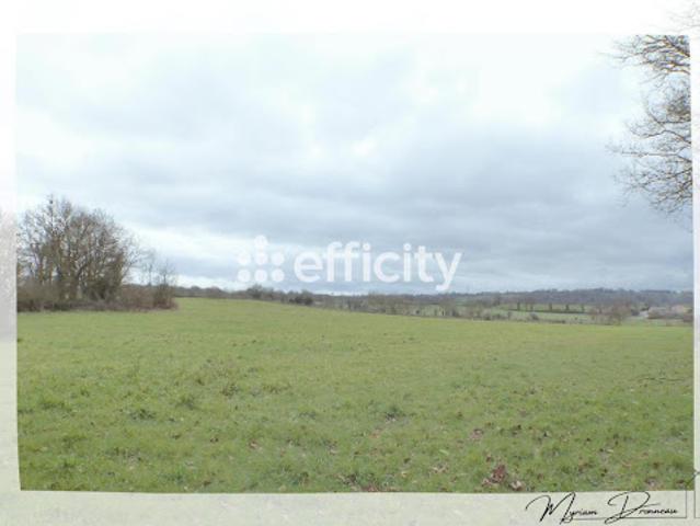 Vente Terrain 10000 m2 Mauléon