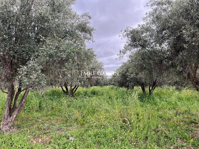 Vente Terrain 10000 m2 Mont de Marsan