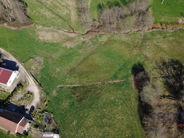 Vente Terrain 10000 m2 Belmont