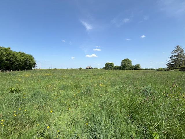 Vente Terrain 1000 m2 Cesseville