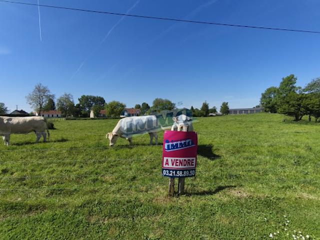 Vente Terrain 1000 m2 Auxi le Château