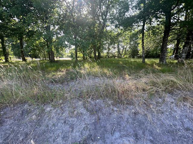 Vente Terrain 1000 m2 Belhade