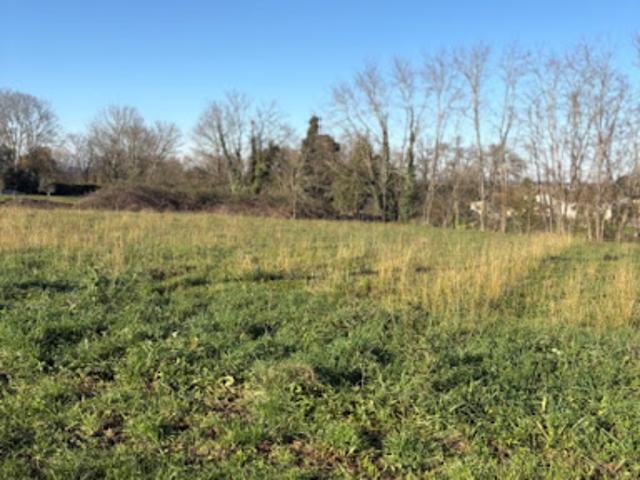 Vente Terrain 1000 m2 Branne