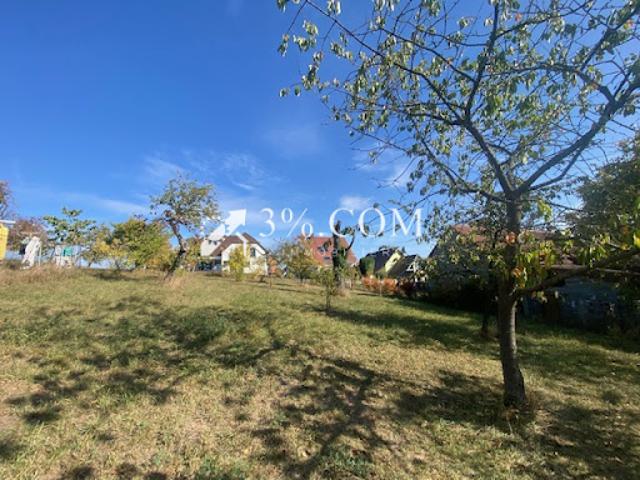 Vente Terrain 0 m2 Dettwiller