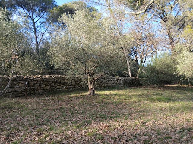 Vente Terrain 1000 m2 Deaux