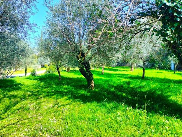 Vente Terrain 1000 m2 Draguignan