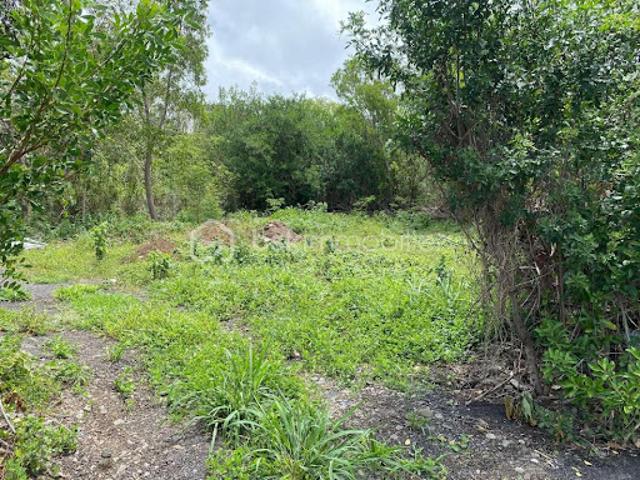 Vente Terrain 1000 m2 Entre deux