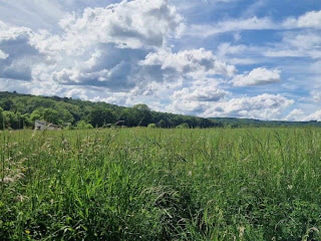 Vente Terrain 1000 m2 Filain