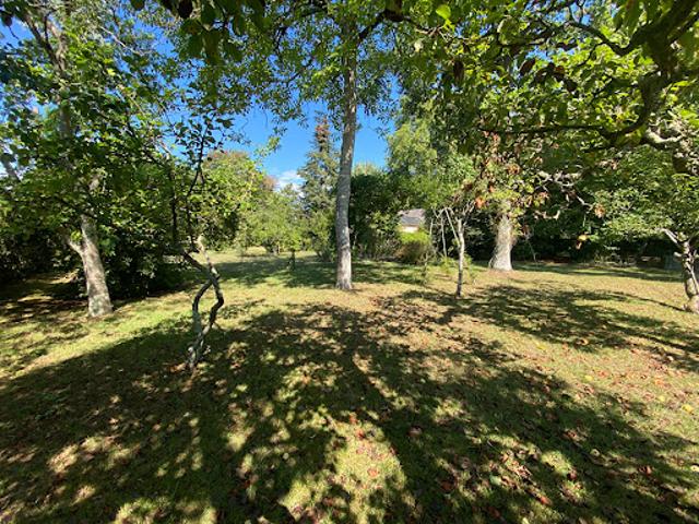 Vente Terrain 1000 m2 Olivet