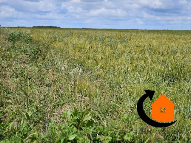 Vente Terrain 1000 m2 Olle