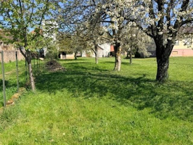 Vente Terrain 1000 m2 Osenbach