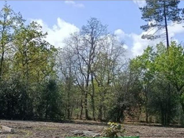 Vente Terrain 1000 m2 La Brède