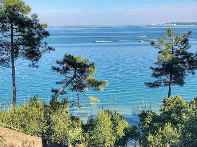 Vente Terrain 1000 m2 La Teste de Buch