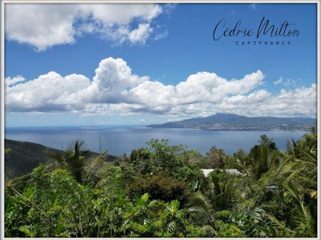 Vente Terrain 1000 m2 Les Anses D Arlet