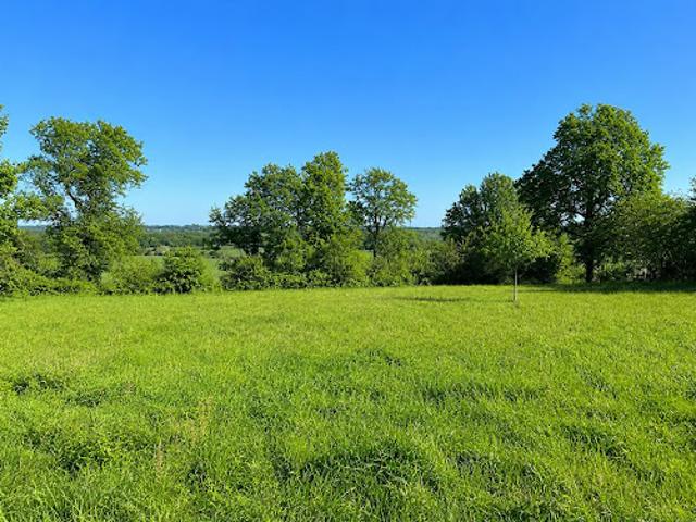 Vente Terrain 1000 m2 Monmadalès