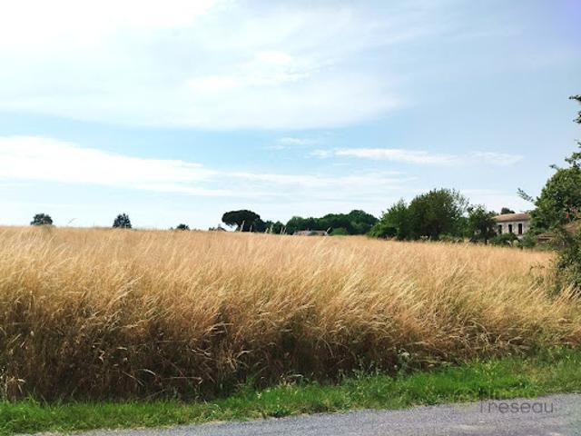 Vente Terrain 1000 m2 Merignac