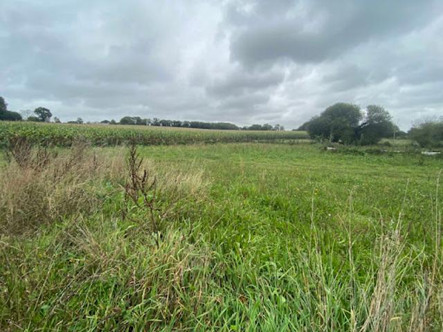 Vente Terrain 1000 m2 Saint Coulitz
