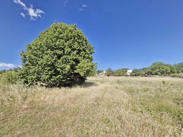 Vente Terrain 1000 m2 Saint Antonin du Var