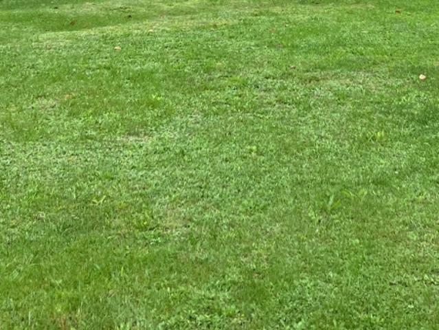 Vente Terrain 1000 m2 Saint André de Lidon