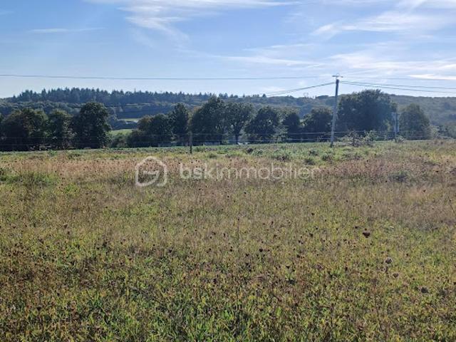 Vente Terrain 1000 m2 Saint Georges Buttavent