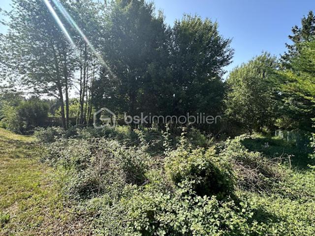 Vente Terrain 1000 m2 Courtenay