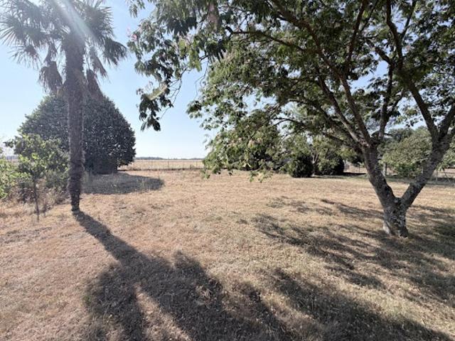 Vente Terrain 1000 m2 Saint Lys
