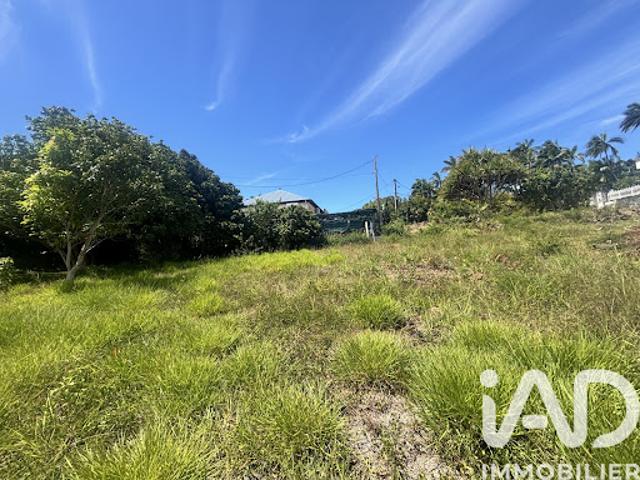 Vente Terrain 1000 m2 Saint Pierre