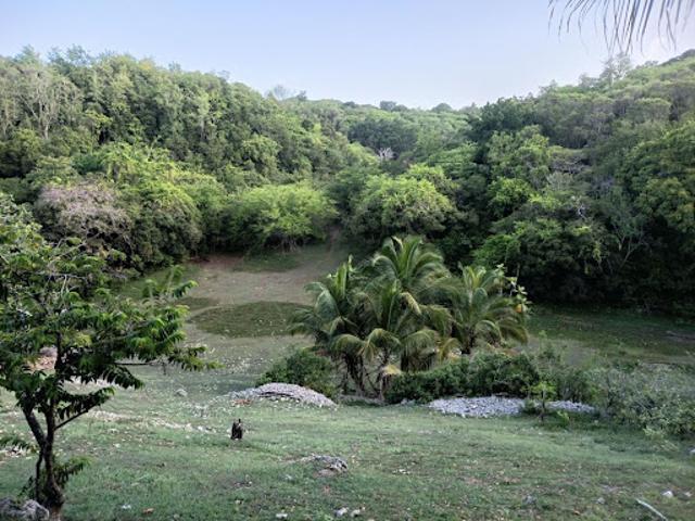Vente Terrain 1000 m2 Sainte Anne