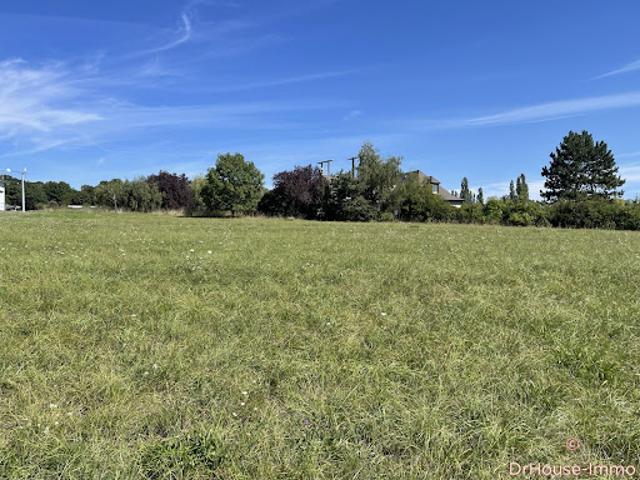 Vente Terrain 1000 m2 Sarrebourg