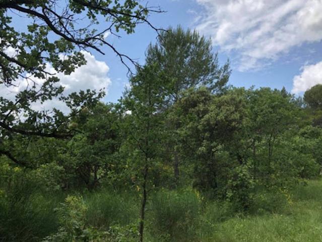 Vente Terrain 1000 m2 Puyricard