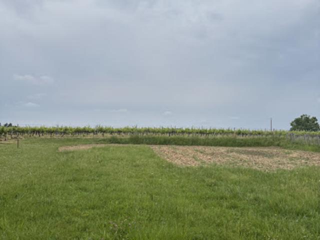 Vente Terrain 1000 m2 Pugnac