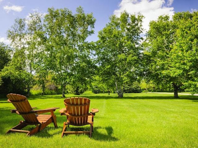 Vente Terrain 1000 m2 Rians