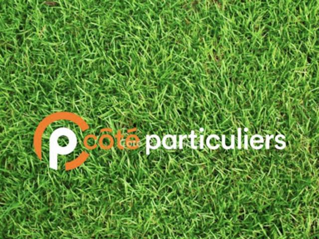 Vente Terrain 1000 m2 Willems